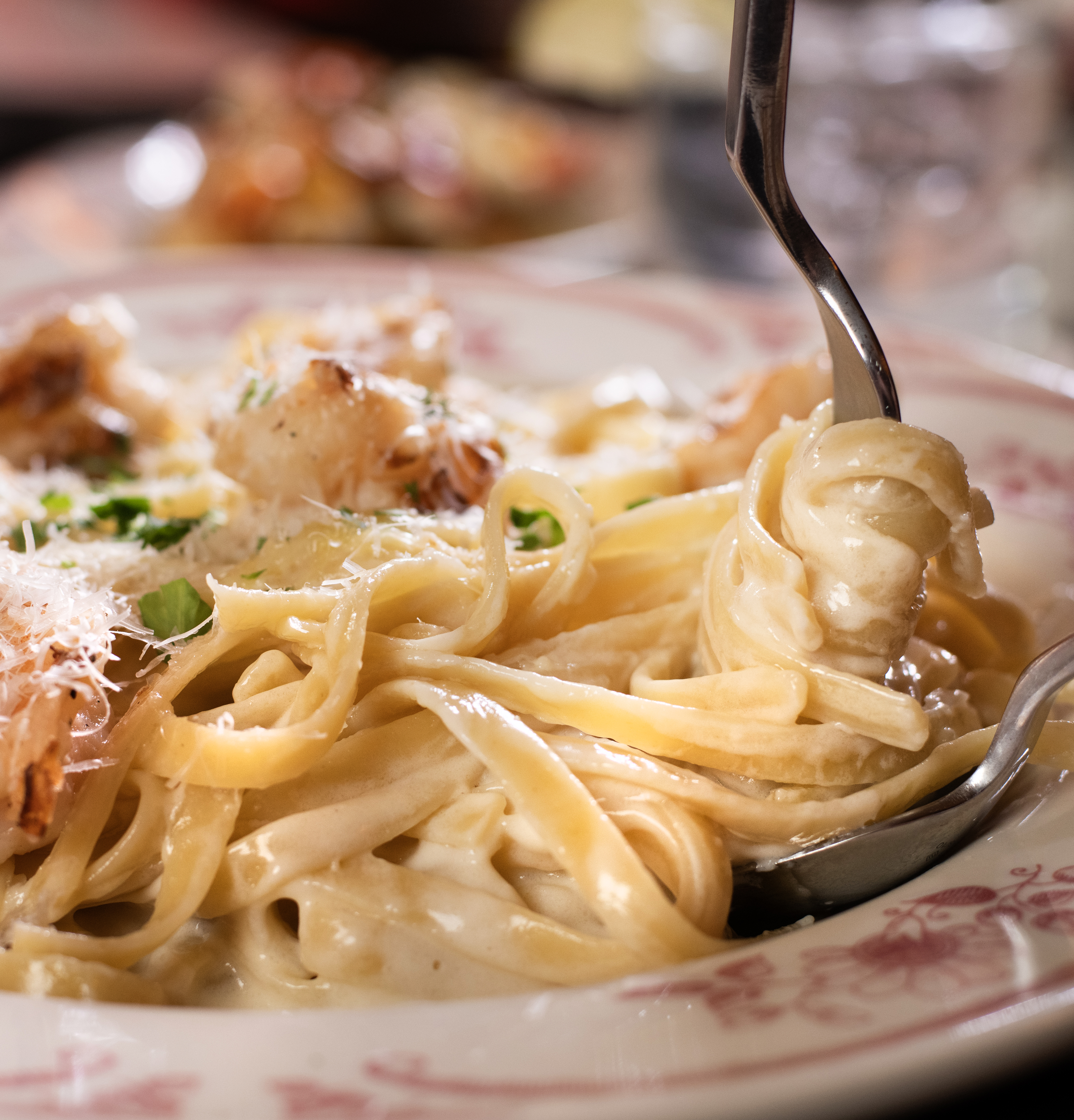 Housemade Parmesan cheese sauce with chicken